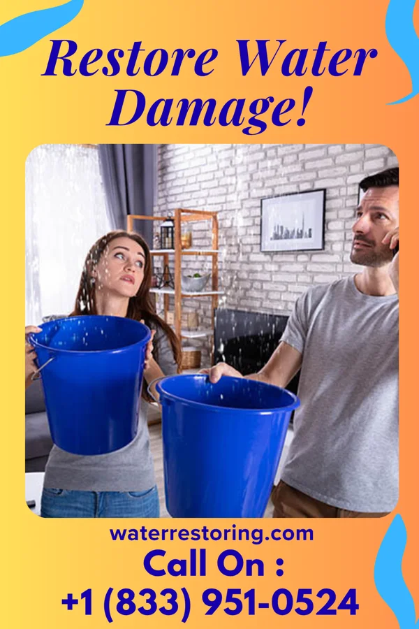 water restoration North Water Mitigation Inc Meyers Lake