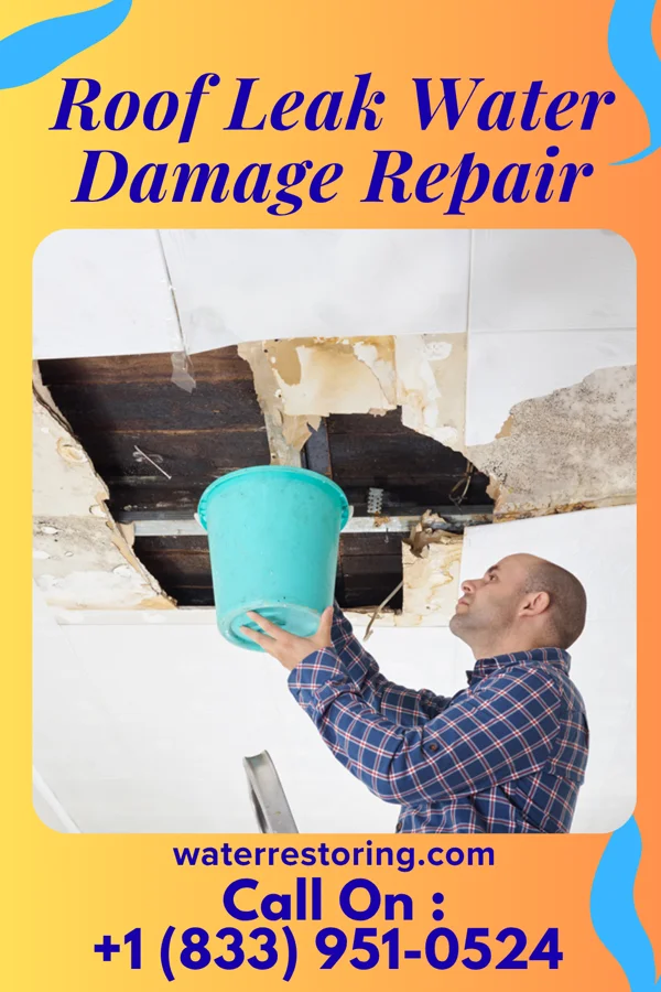 Roof Leak Water Damage Repair in Meyers Lake, OH