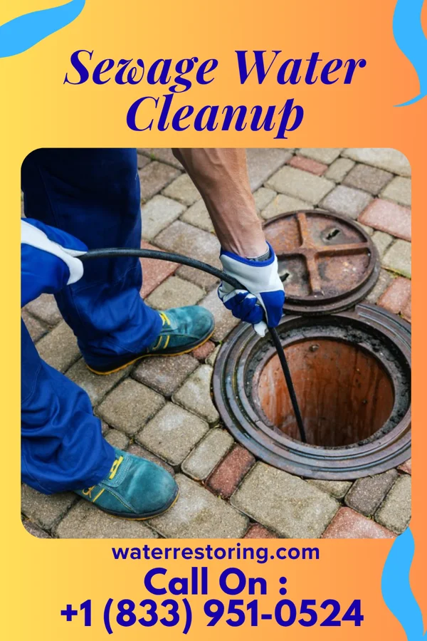 Sewage Water Cleanup in Meyers Lake, OH